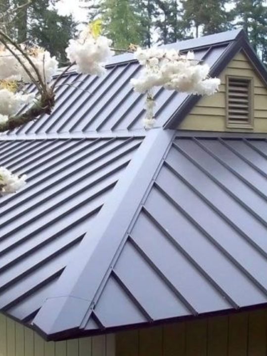 Untitled design 2025 04 23T212723.182