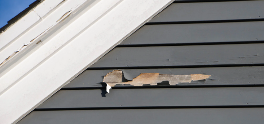 Untitled design 2025 04 23T224047.523