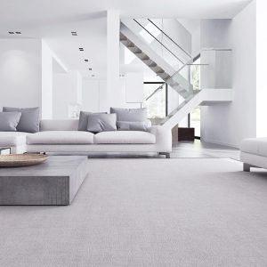 1 9lxKJ7EjvfLqy3i8cAST5g